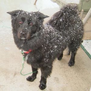 Meet your Posher, Jan